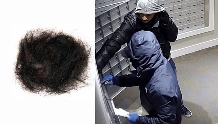 아파트 우편함에서 발견된 '머리카락 든 편지' 50통의 정체는?