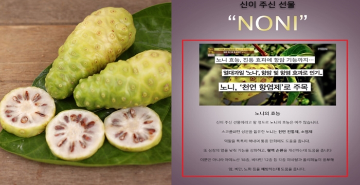 슈퍼과일 노니, "쇳가루 맛 난다" 논란에 검사해보니 '금속성 이물질' 검출