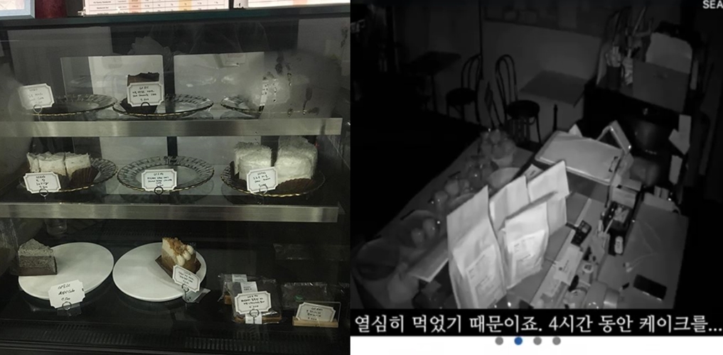 빵집 도둑질 하려다가 4시간 동안 '빵 먹방'...주인 "자수하면 선처하고 케이크 또 주겠다"