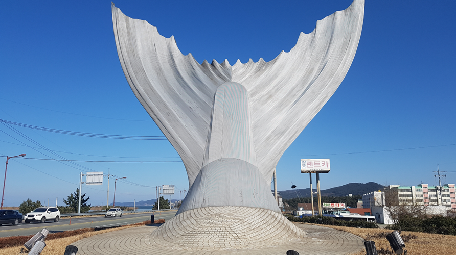 포항시, 3억 들인 '꽁치 꼬리' 철거한다