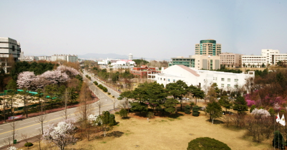 성적 조회 전 '첫 관계 시기' 밝히라는 수원대 설문조사 논란