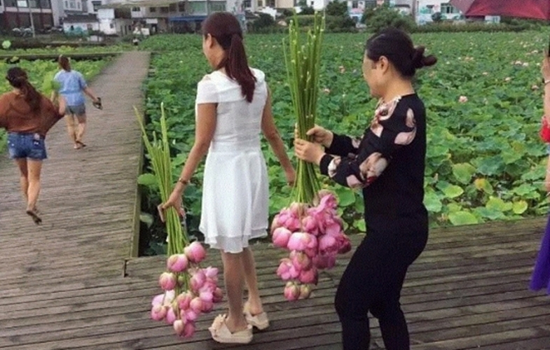 중국의 생태공원이 폐쇄된 이유 "시민 수백명 침입해서 꽃 훔쳐가"