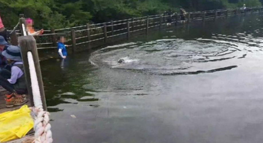 '한라산 분화구'에서 수영한 등산객... 관리소 "이런 경우는 처음"