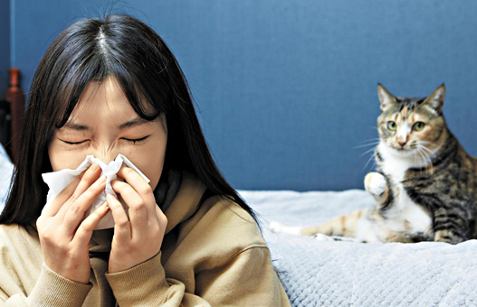 "오버하지 마" 시댁 갔다가 고양이 알레르기'로  응급실 실려간 며느리