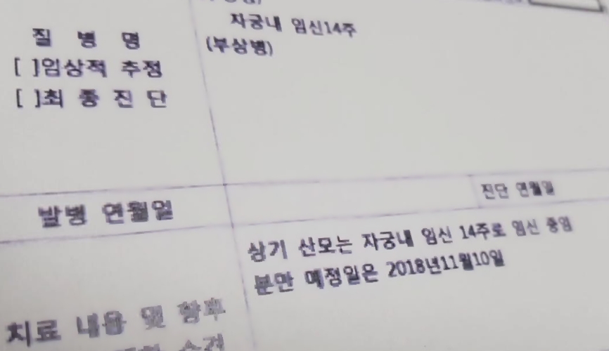 아파트 받기 위해 '가짜 임신진단서' 제출한 신청자들 적발