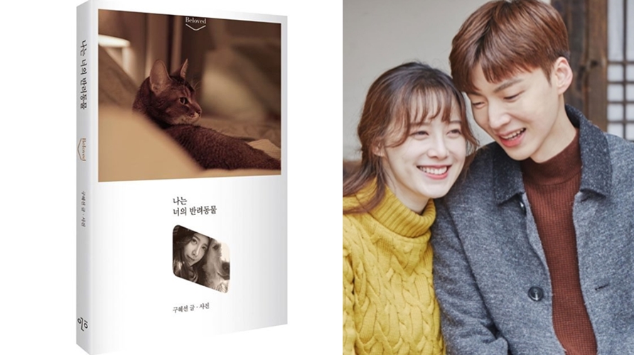 구혜선, '안재현 주의할점' SNS글 삭제 이후 신간 판매 소식 알려